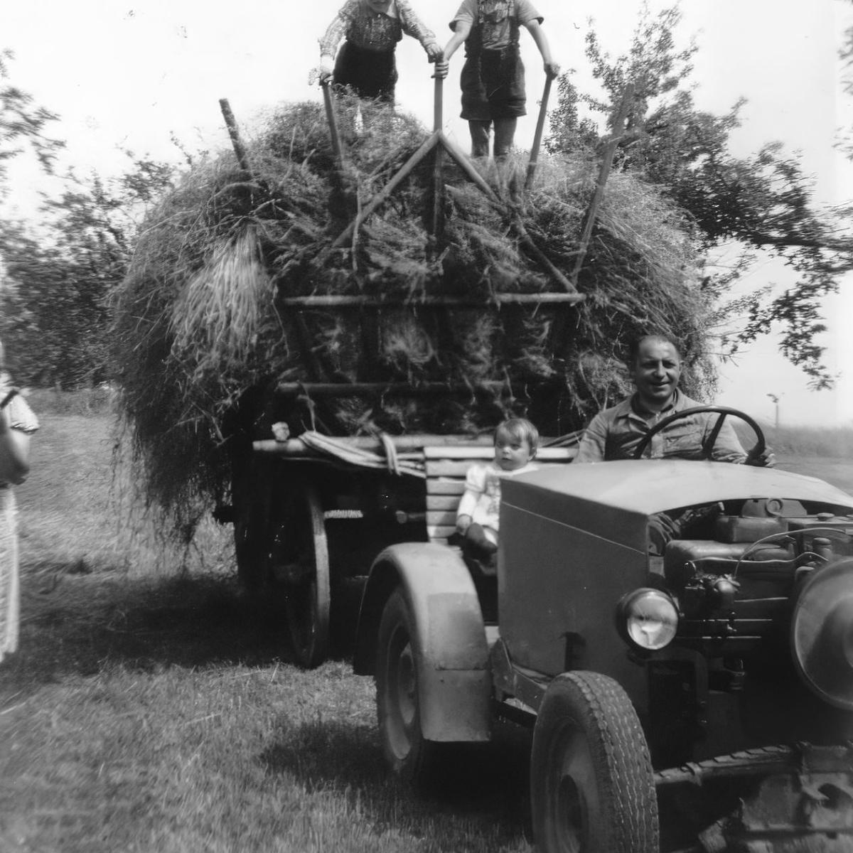 1952: Heuernte im Strängel mit selbstgebautem Traktor von Richard Armbruster, Bild mit Familie (Quelle: Manfred Armbruster)