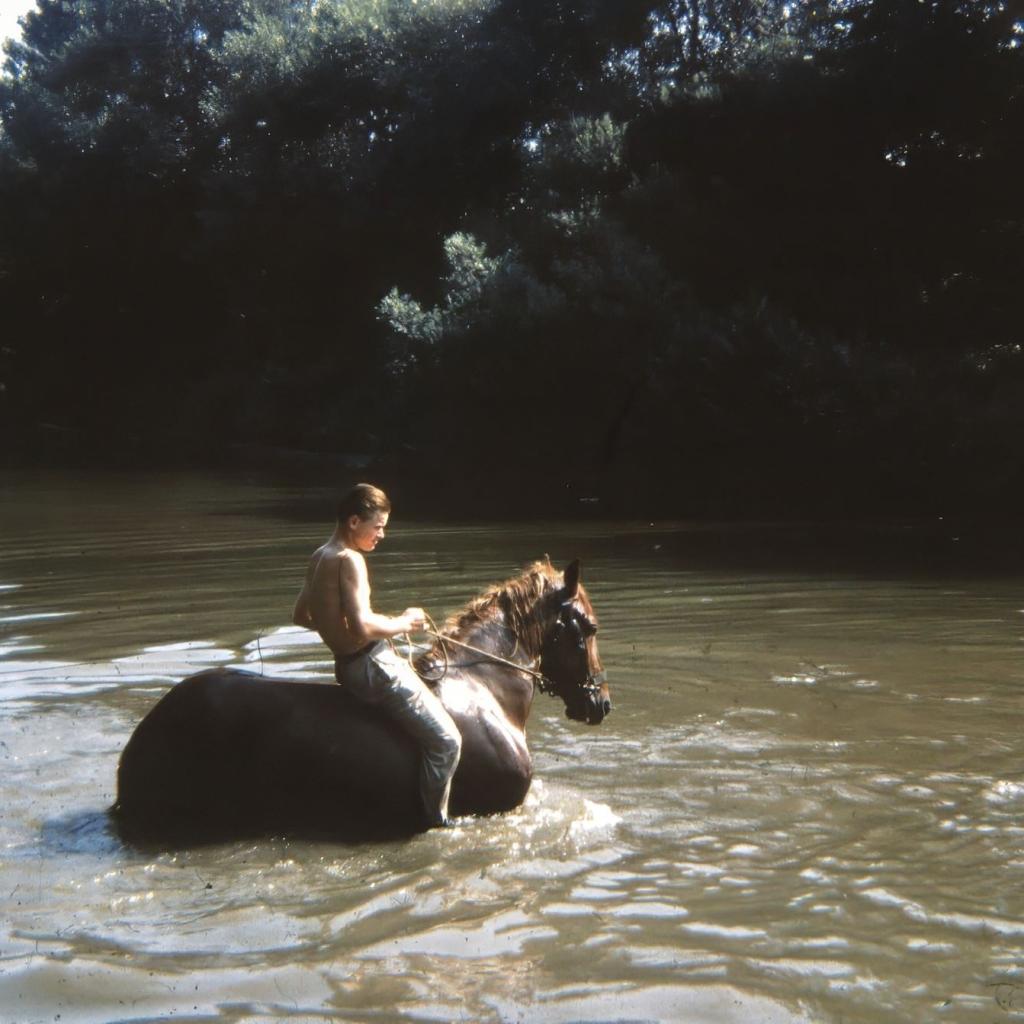 1972: Abkühlung der Pferde im Neckar, Werner Oswald und Gehard Müllerschön 1972 (Quelle: Manfred Knecht)