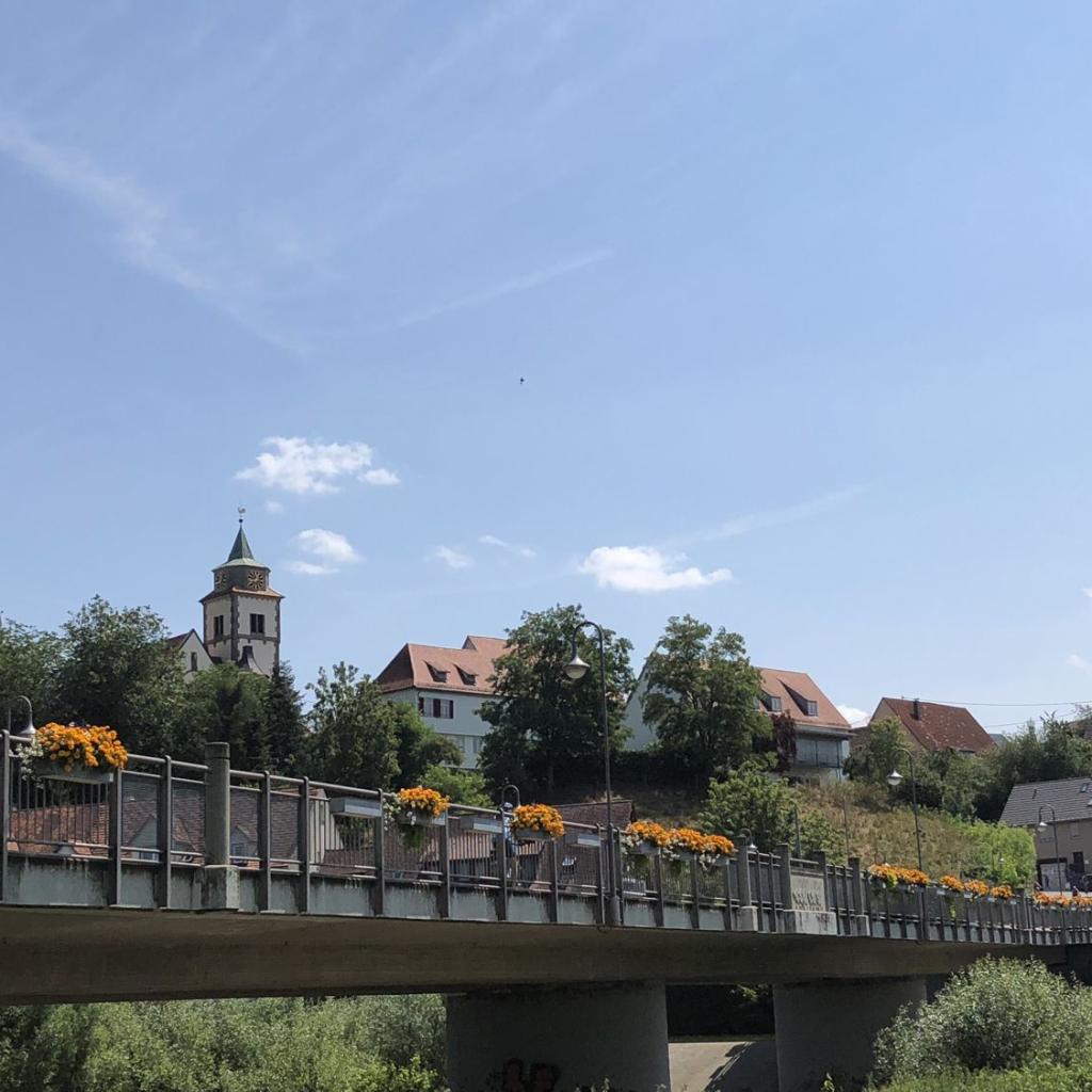 2018: blühende Neckarbrücke (Quelle: Katja Glück)