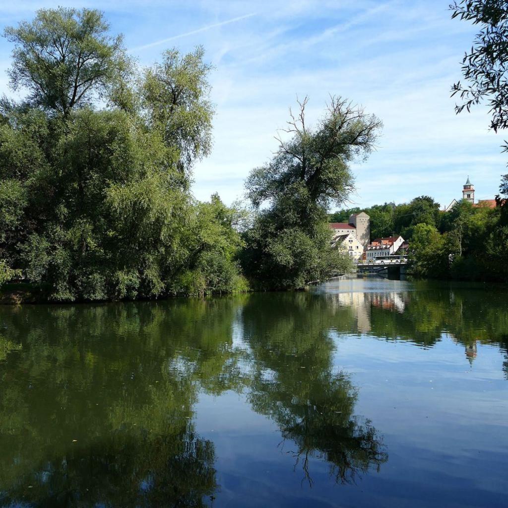 2022: Am Neckar entlang bei Mittelstadt, unsere Natur ist einfach wunderschön (Quelle: Elisabeth Häfner)