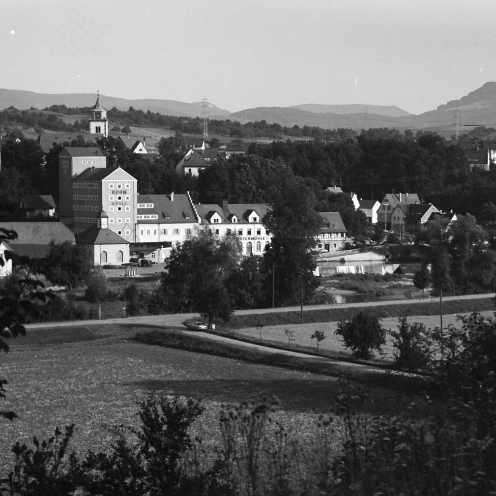 1981: Panorama am Neckar (Quelle: Edmund Kühnel)