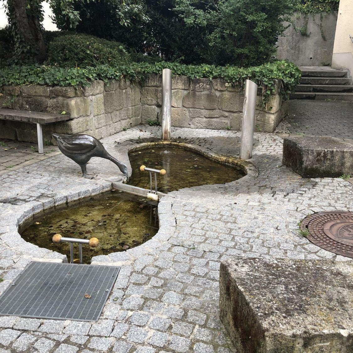 2020: Mittelstädter Brunnen - Gansbrunnen am Rathaus (Quelle: Dirk Glück)
