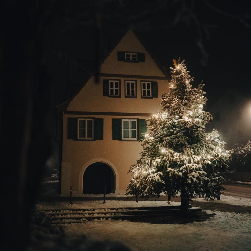 2022: Mittelstadt im Nebel, Blick auf das verschneite Rathaus mit Weihnachtsbaum (Quelle: Patrick Glück)