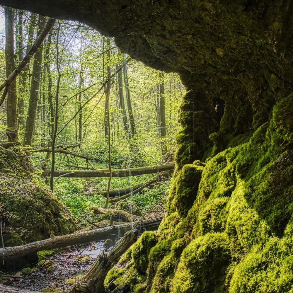 2021: Die Höhle am Merzenbach (Quelle: Ingo Jakubke)