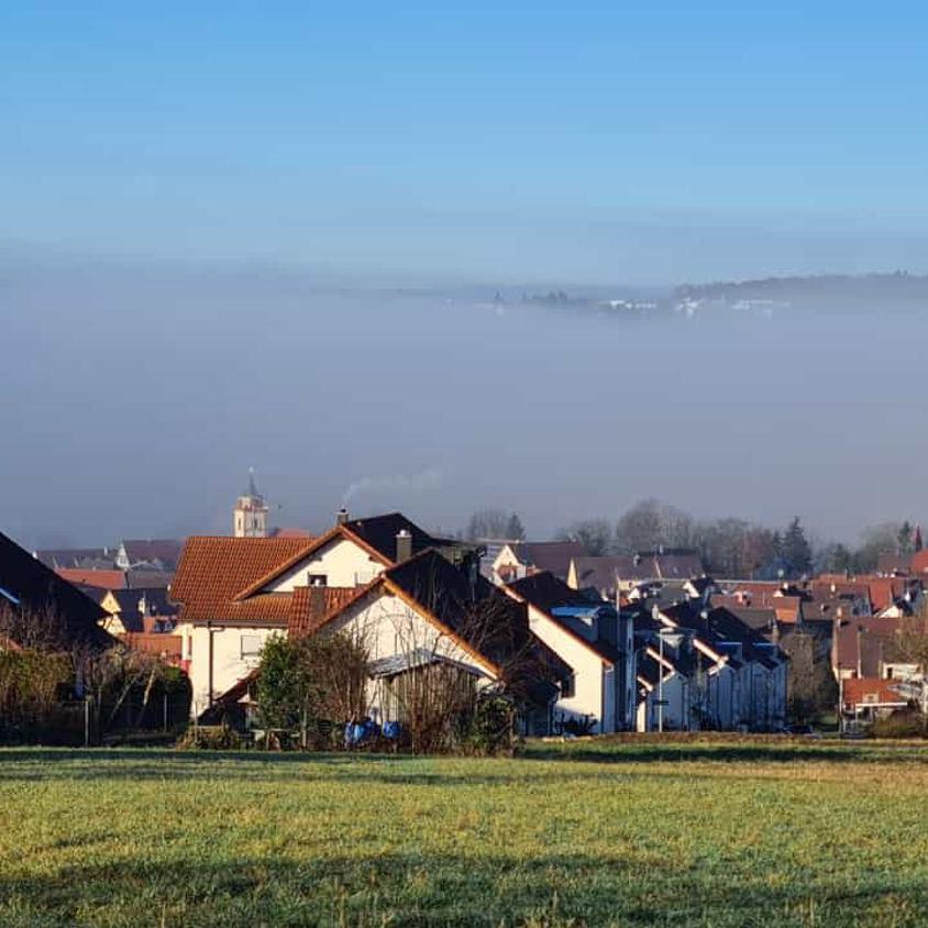 2021: Impressionen mit Mittelstadt im Nebel (Quelle: Thomas Kertschek)