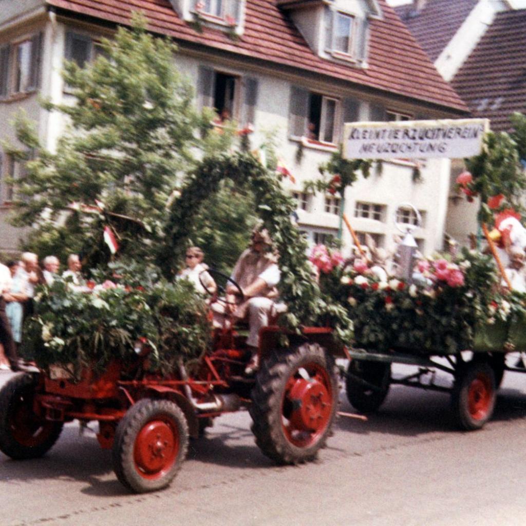 1969: Festwagen des Kleintierzüchtervereins Mittelstadt (Quelle: Martha Kern)